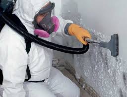 Mold Documentation for Insurance Claims in Village Of The Branch, NY